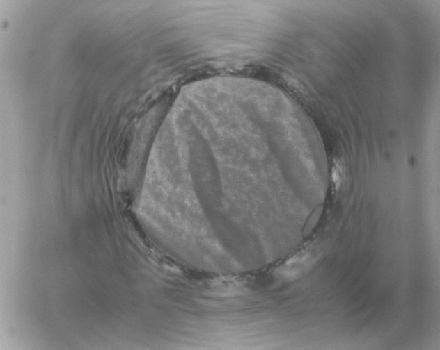 X0000061760867200512302301