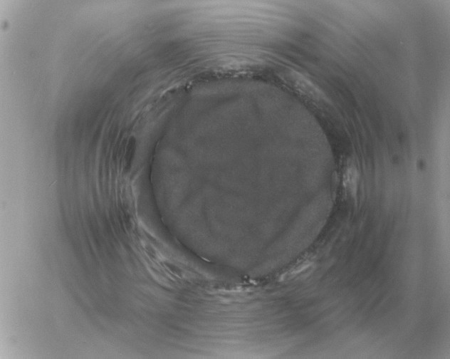 X0000061760868200512302301