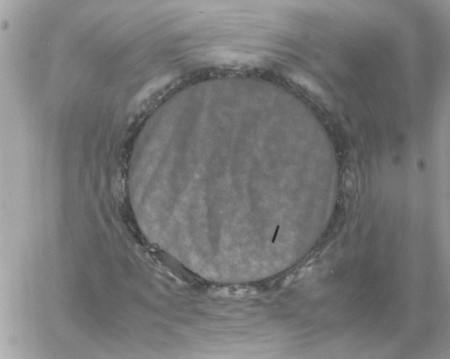 X0000061760869200512302301