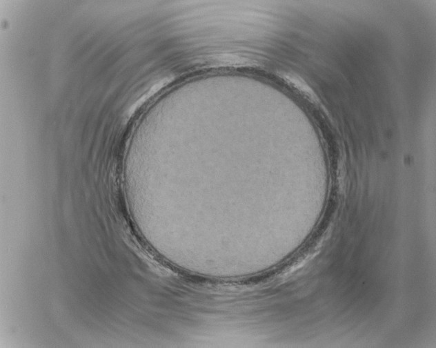 X0000061760873200512302301