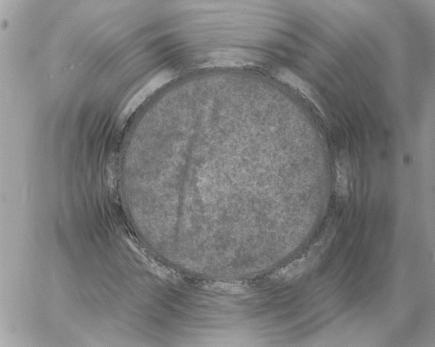 X0000061760874200512302301