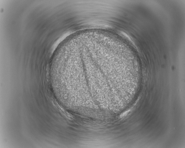 X0000061760875200512302301