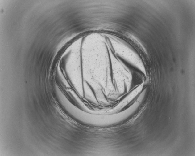 X0000061760876200512302301