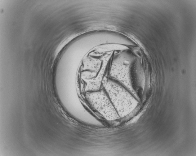 X0000061760877200512302301