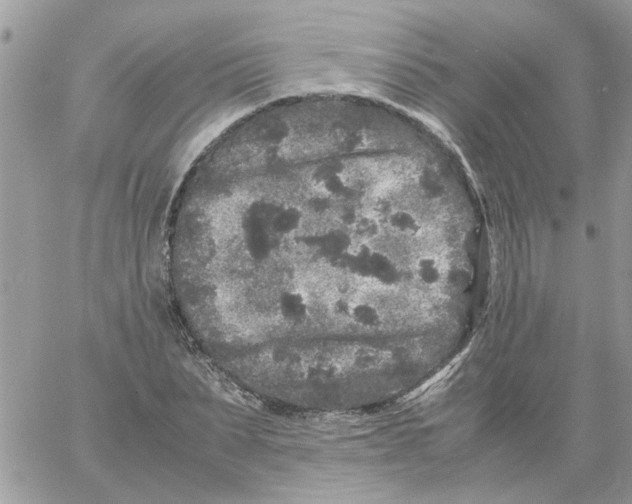 X0000061760879200512302301