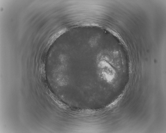 X0000061760881200512302301