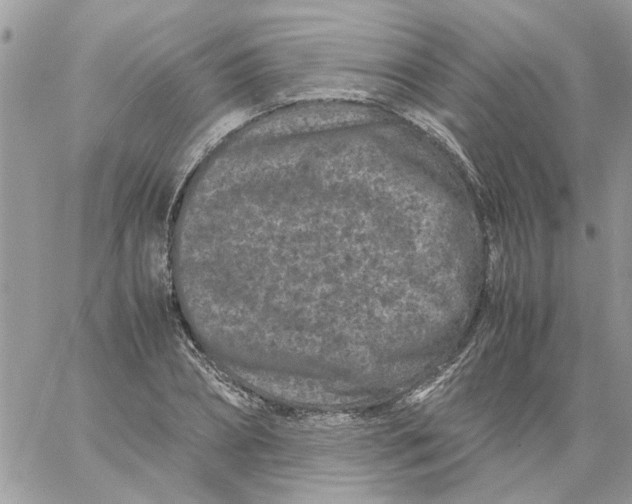 X0000061760882200512302301