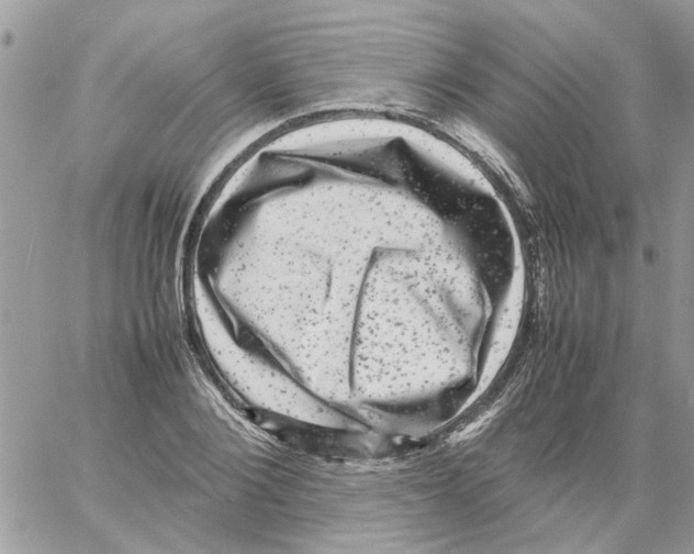 X0000061760884200512302301