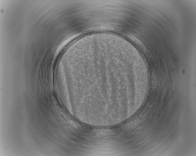 X0000061760886200512302301