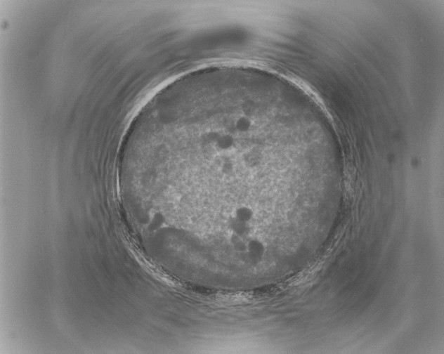 X0000061760887200512302301