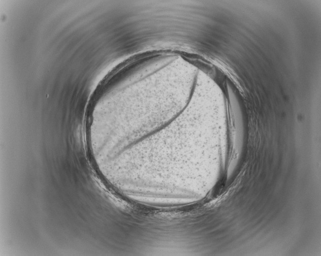 X0000061760888200512302301