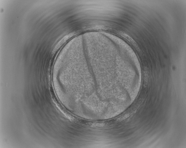 X0000061760890200512302300