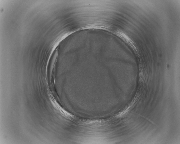 X0000061760892200512302300