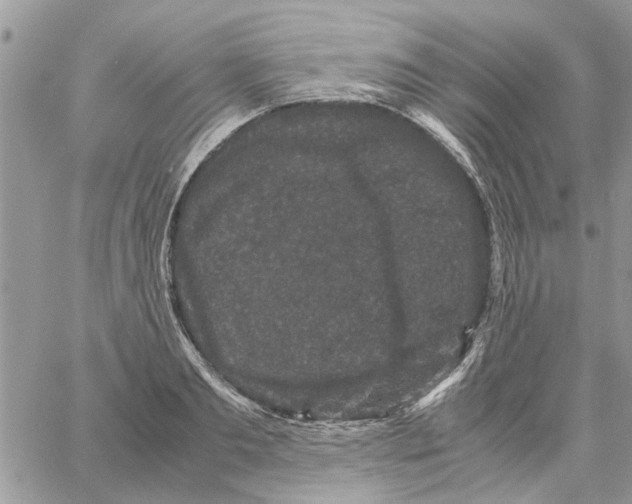 X0000061760893200512302300