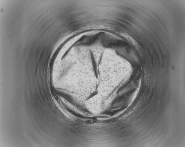 X0000061760894200512302300