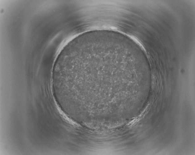 X0000061760895200512302300