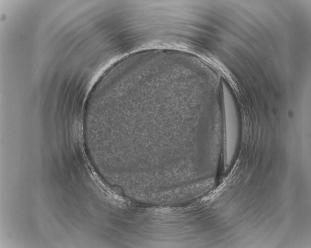 X0000061760896200512302300