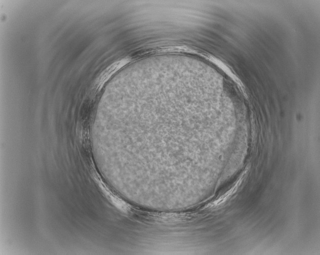 X0000061760897200512302300