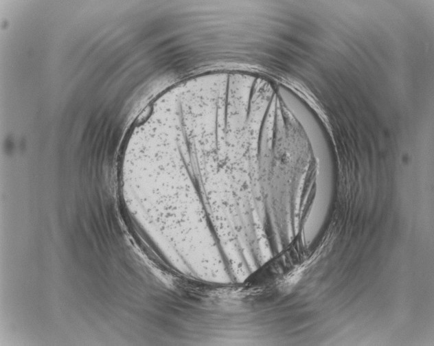 X0000061760898200512302300