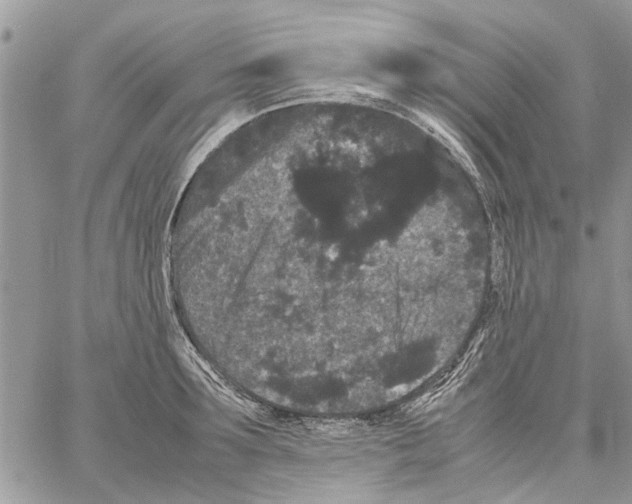 X0000061760899200512302300