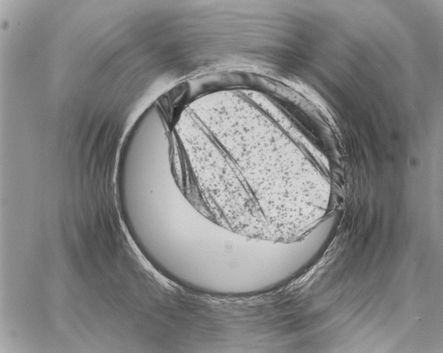 X0000061760902200512302300