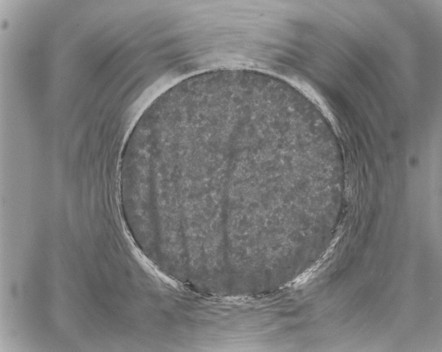 X0000061760903200512302300