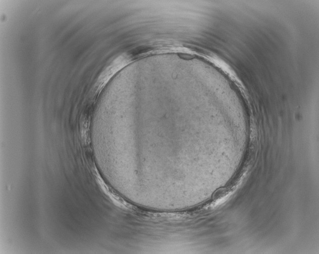 X0000061760905200512302300