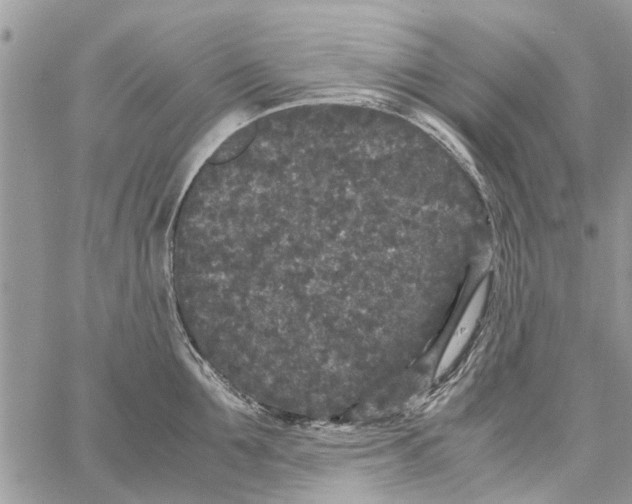 X0000061760907200512302300