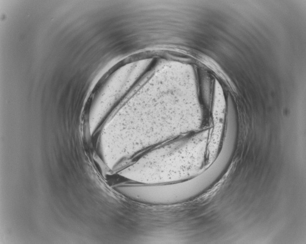 X0000061760908200512302300