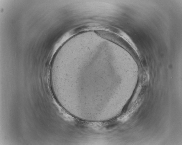 X0000061760909200512302300