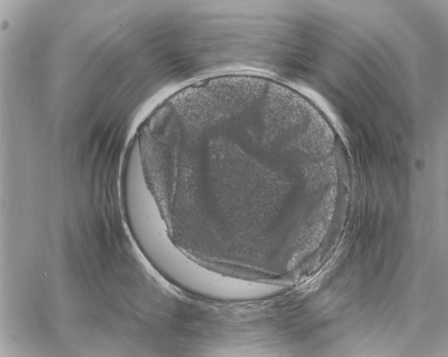 X0000061760910200512302300