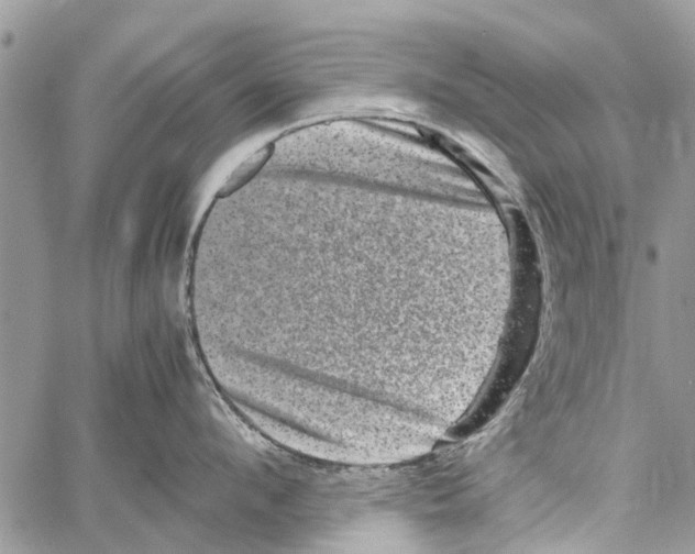 X0000061760912200512302300