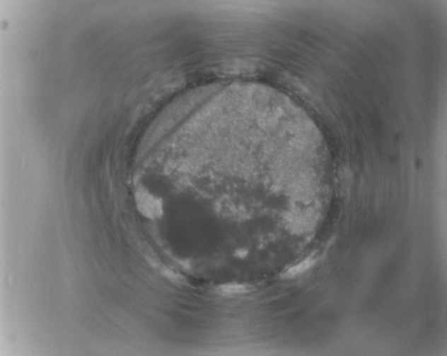 X0000061760913200512302259