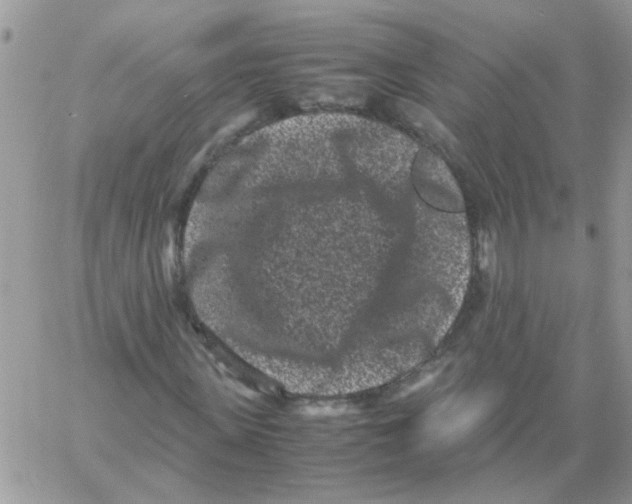 X0000061760915200512302259