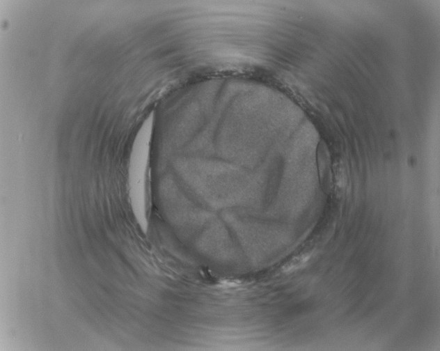 X0000061760916200512302259