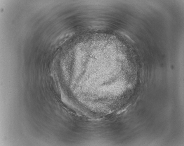 X0000061760917200512302259