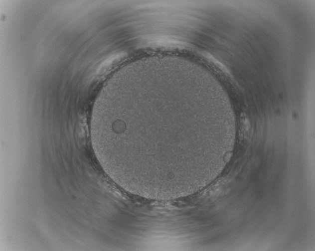 X0000061760918200512302259