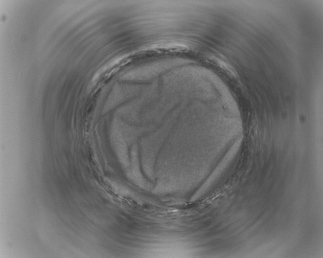 X0000061760920200512302259