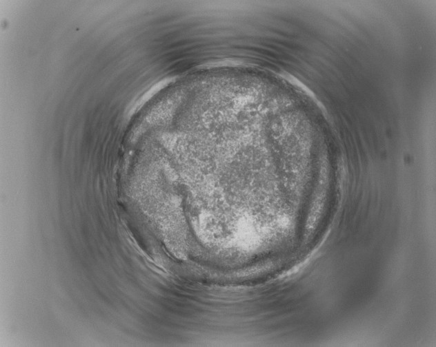 X0000061760921200512302259