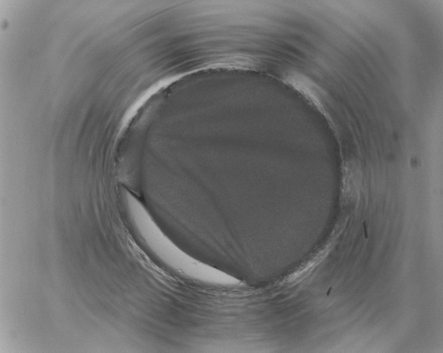 X0000061760923200512302259