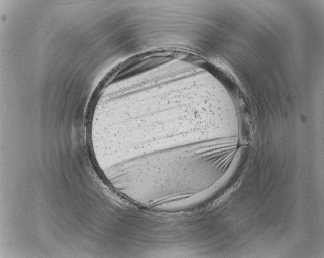 X0000061760924200512302259