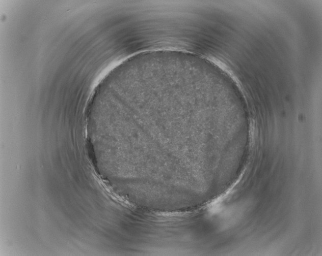 X0000061760925200512302259