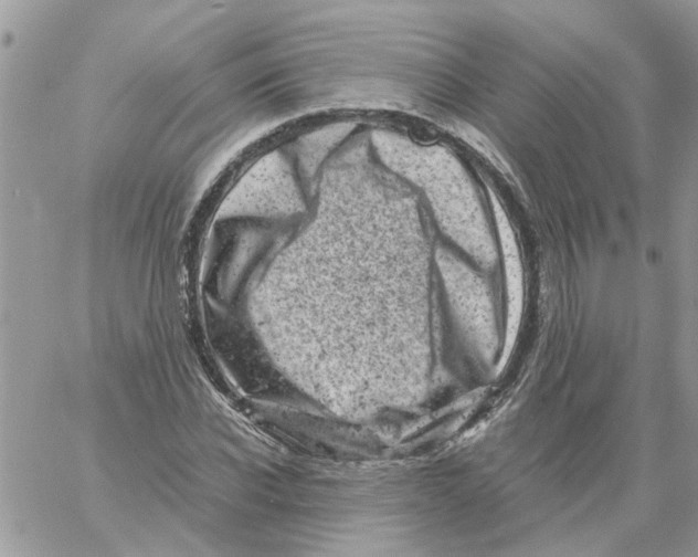 X0000061760926200512302259