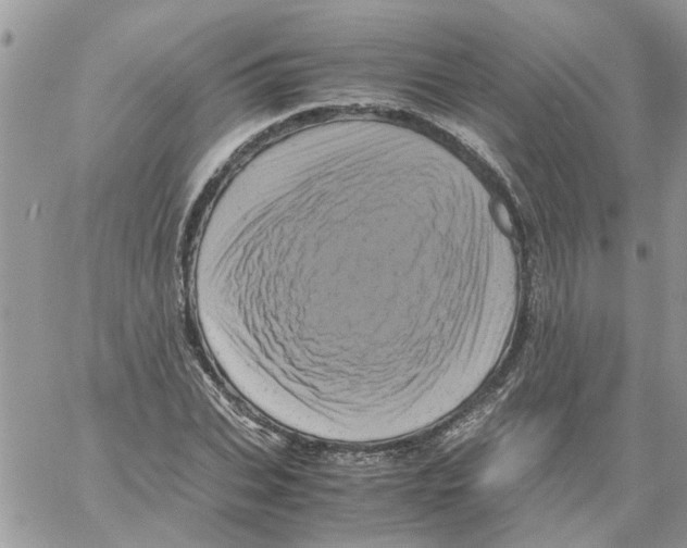 X0000061760927200512302259