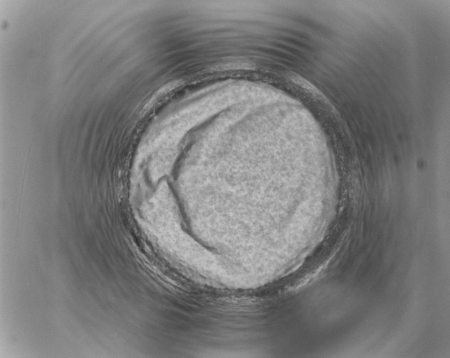 X0000061760929200512302300