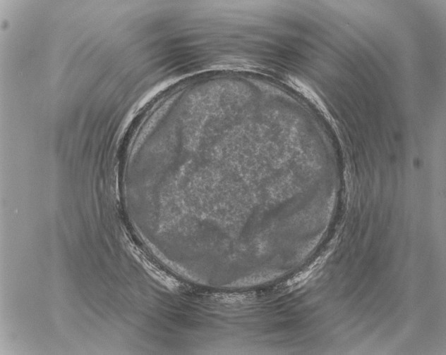 X0000061760931200512302300