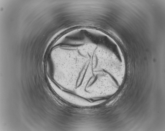 X0000061760932200512302300