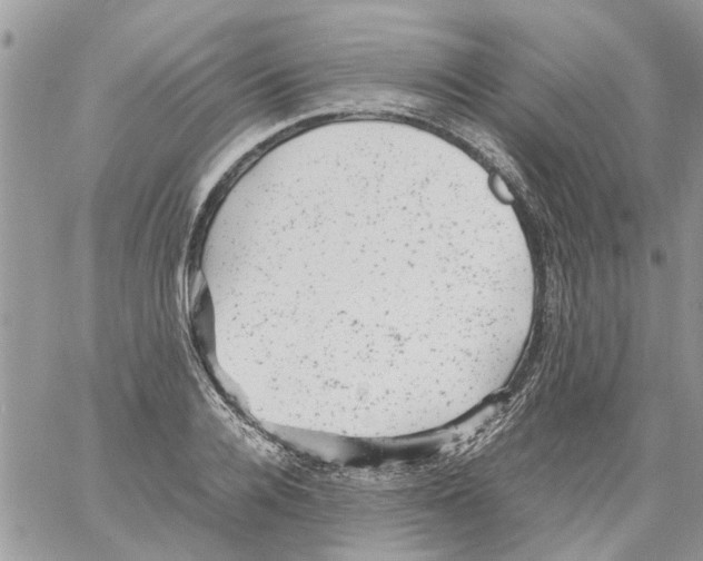 X0000061760936200512302300