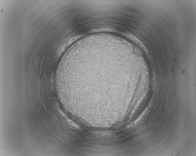 X0000061760937200512302300