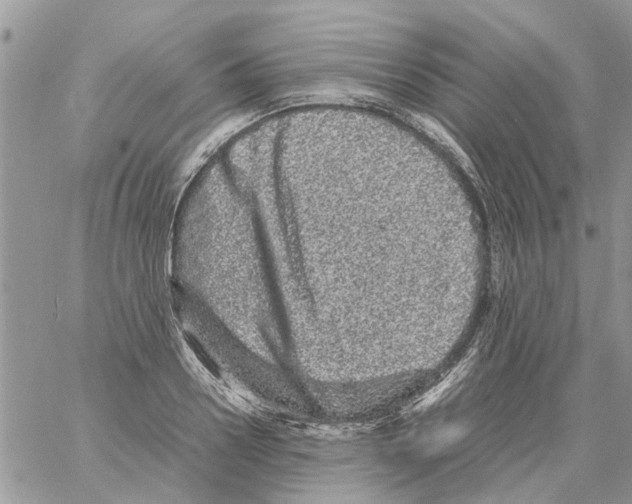 X0000061760938200512302300